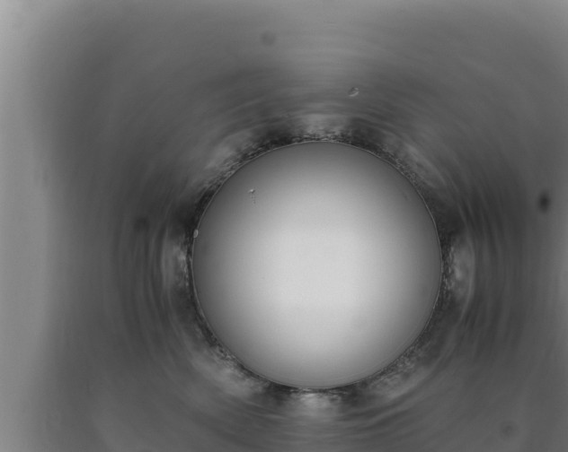 X0000090740522200707271426