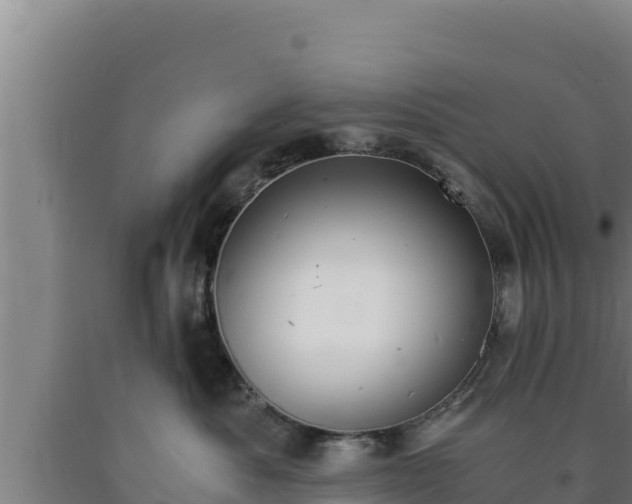 X0000090740525200707271426