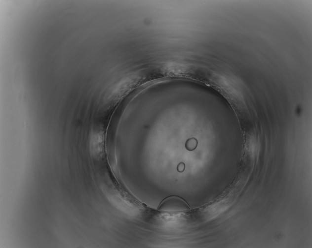 X0000090740526200707271426