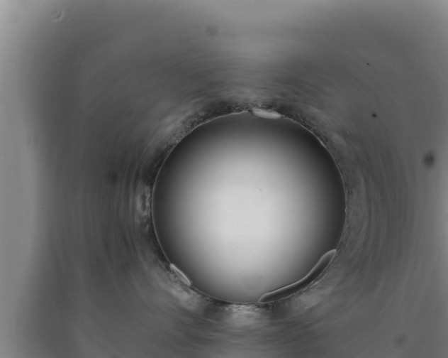 X0000090740528200707271426