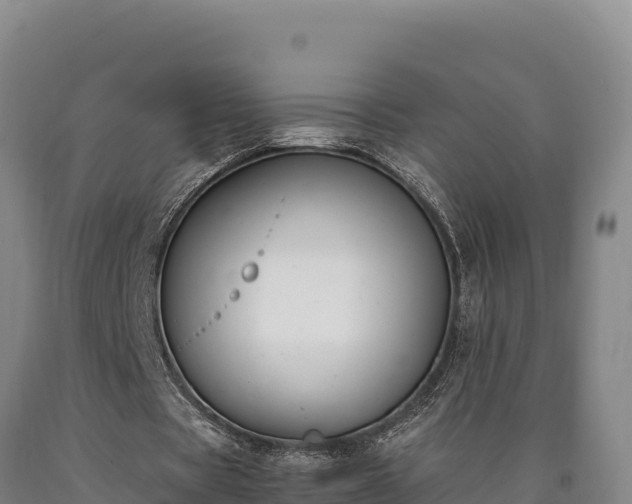 X0000090740529200707271426