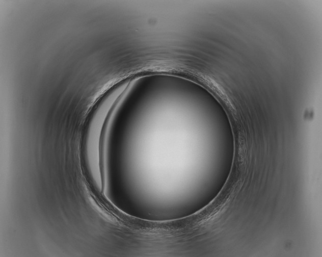 X0000090740530200707271426