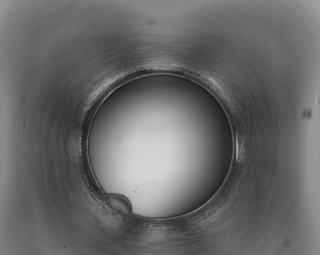 X0000090740531200707271426