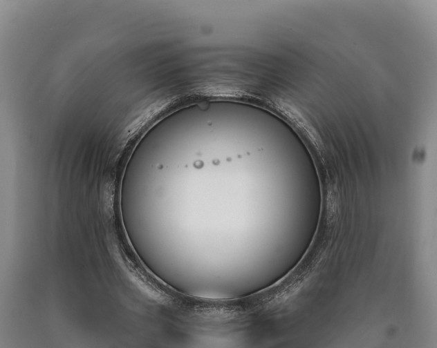 X0000090740533200707271426