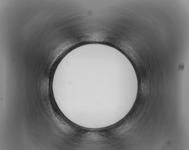 X0000090740534200707271426