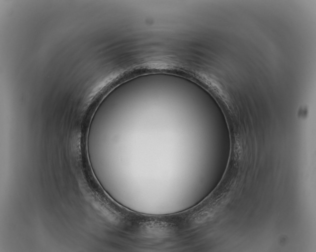 X0000090740535200707271426