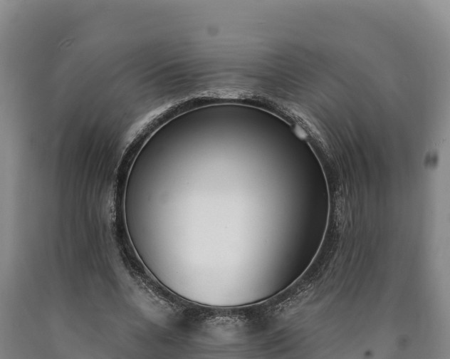 X0000090740536200707271426