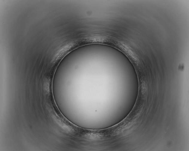 X0000090740537200707271426