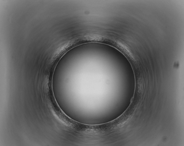 X0000090740538200707271426