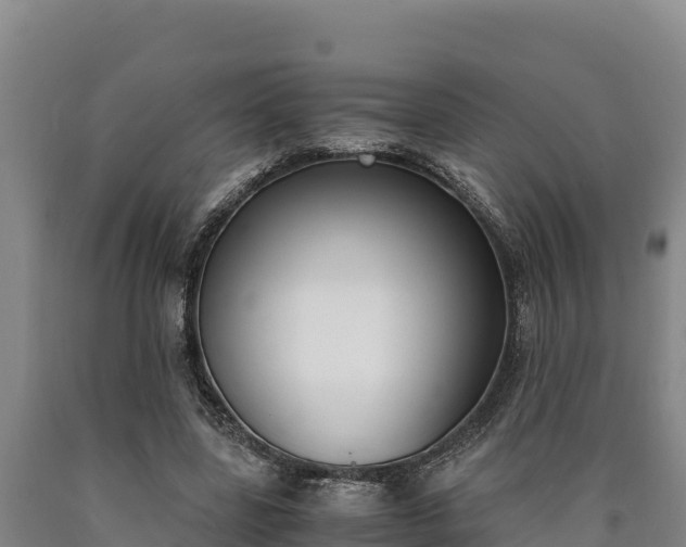 X0000090740539200707271426