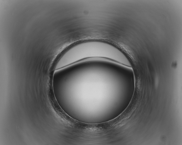 X0000090740540200707271426