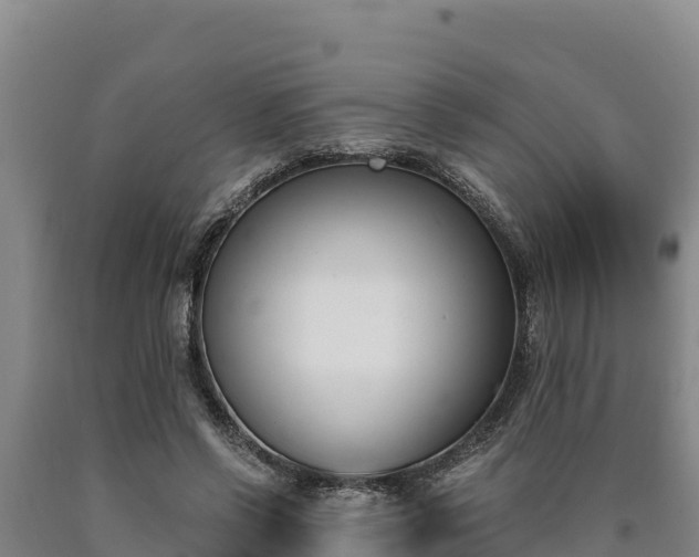 X0000090740542200707271426