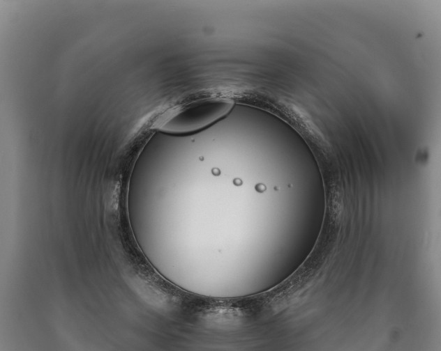 X0000090740543200707271426