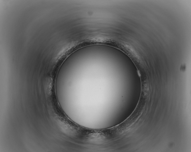 X0000090740544200707271426