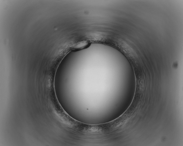 X0000090740546200707271426