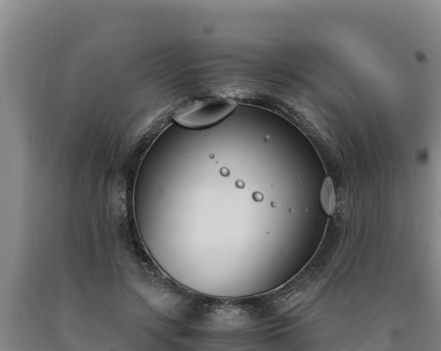 X0000090740547200707271426