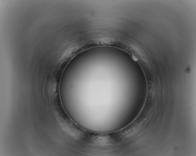 X0000090740548200707271426