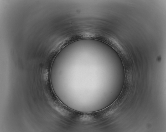 X0000090740549200707271426