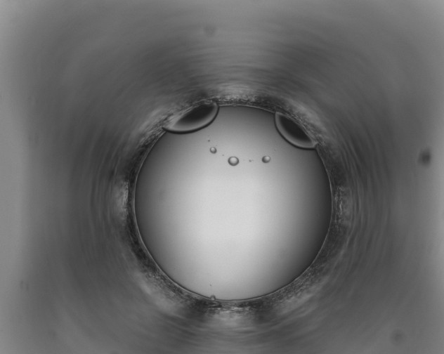 X0000090740550200707271426