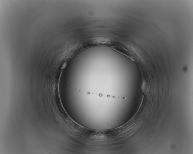 X0000090740551200707271426