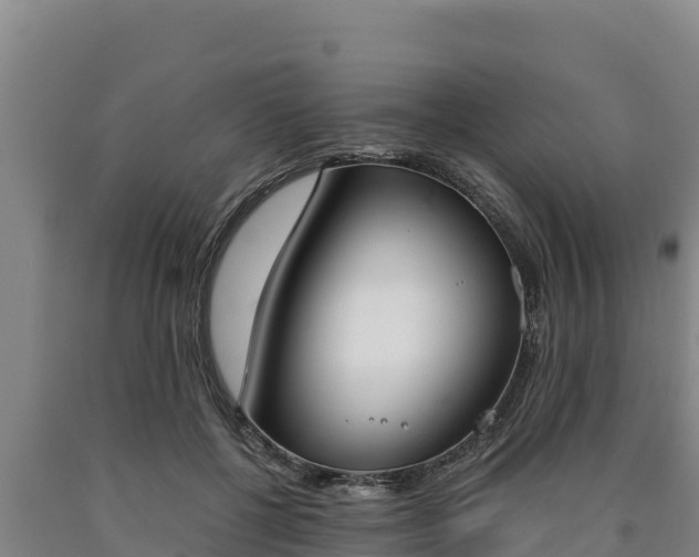 X0000090740552200707271426