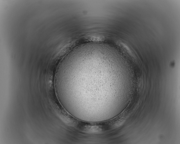 X0000090740553200707271426