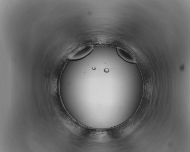 X0000090740554200707271426