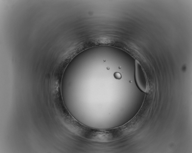 X0000090740555200707271426