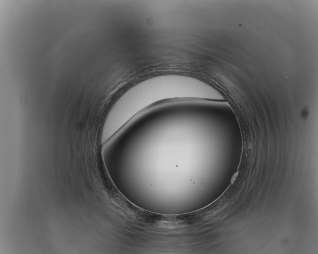 X0000090740556200707271426