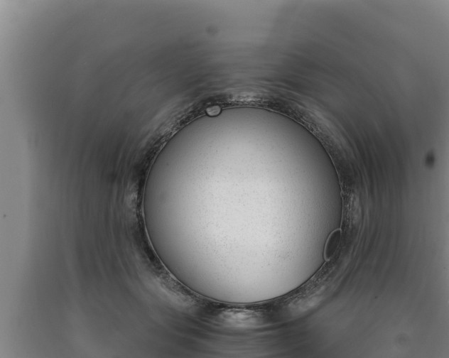 X0000090740557200707271426