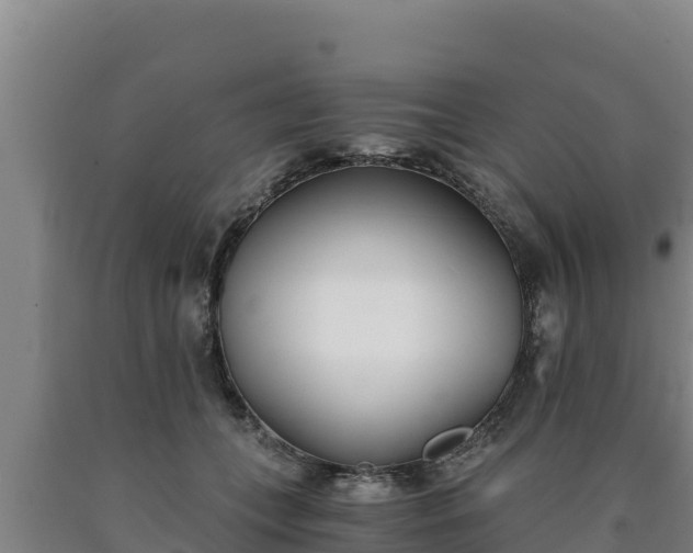 X0000090740559200707271426