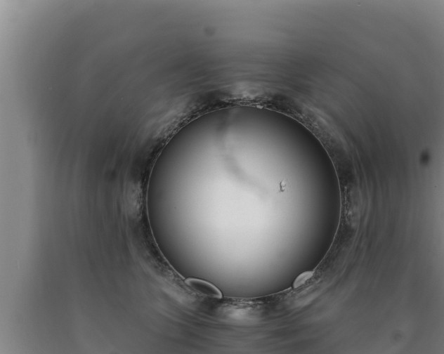 X0000090740563200707271426