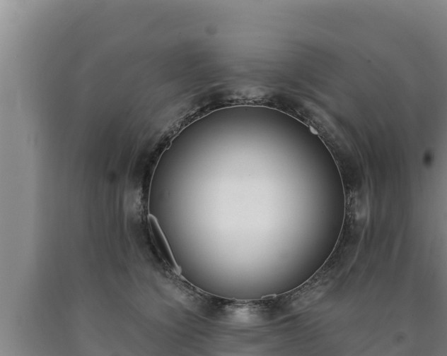 X0000090740564200707271426