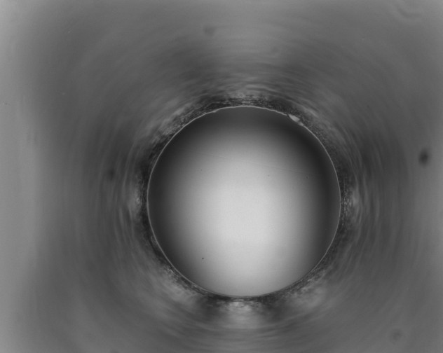 X0000090740566200707271426