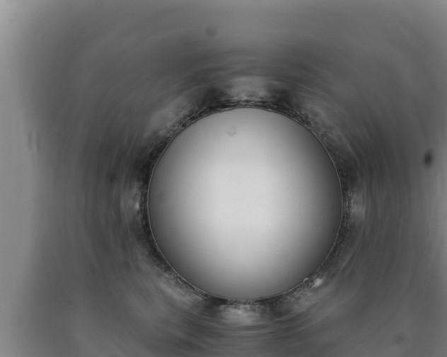 X0000090740567200707271426