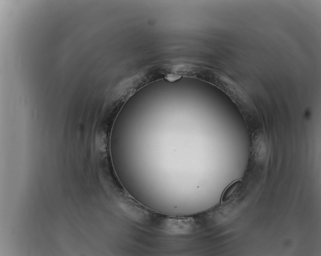 X0000090740571200707271426