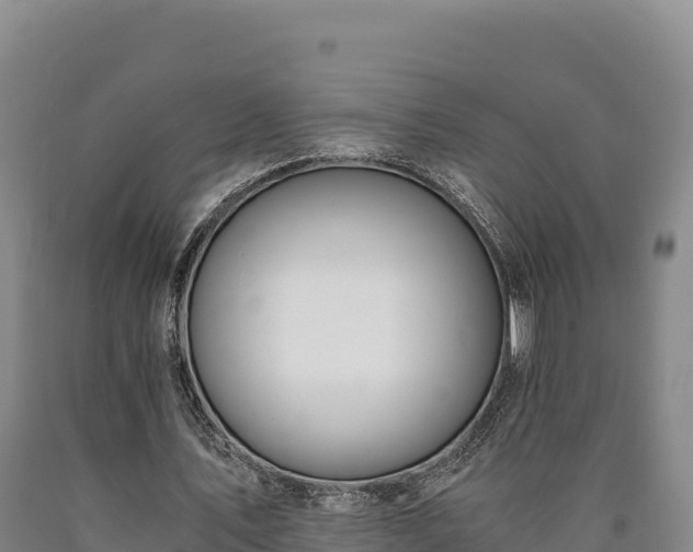 X0000090740579200707271426