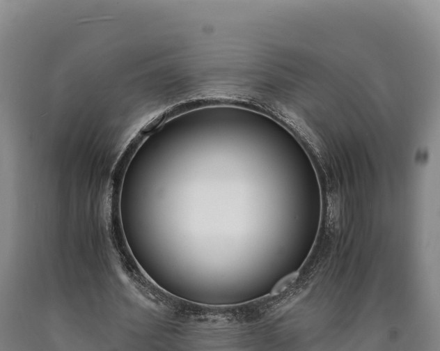 X0000090740580200707271426