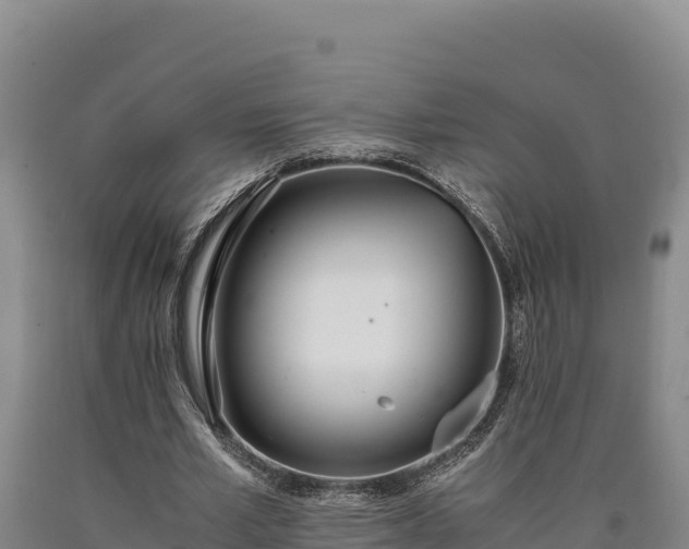 X0000090740581200707271426