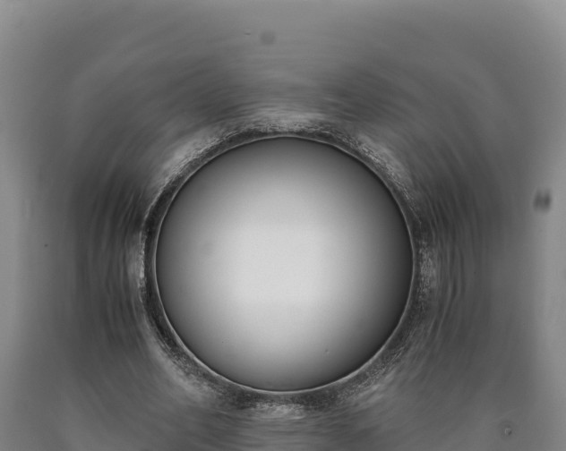 X0000090740582200707271426