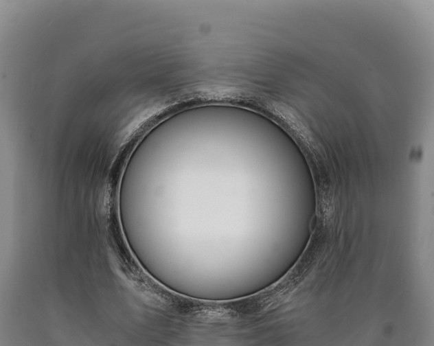 X0000090740583200707271426