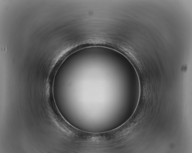 X0000090740584200707271426