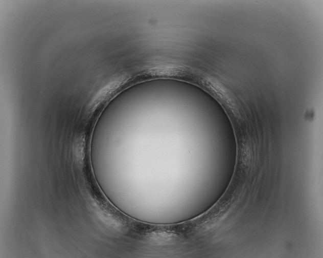 X0000090740586200707271426