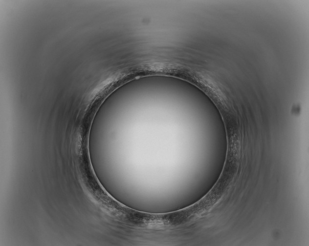 X0000090740587200707271426