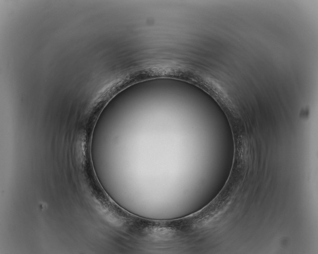 X0000090740590200707271426