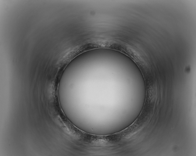 X0000090740594200707271425