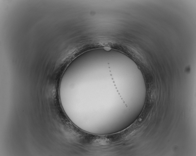 X0000090740595200707271425