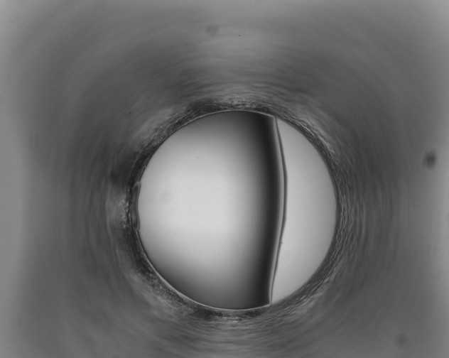 X0000090740597200707271425