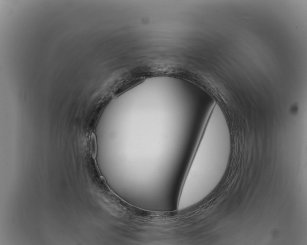 X0000090740601200707271425