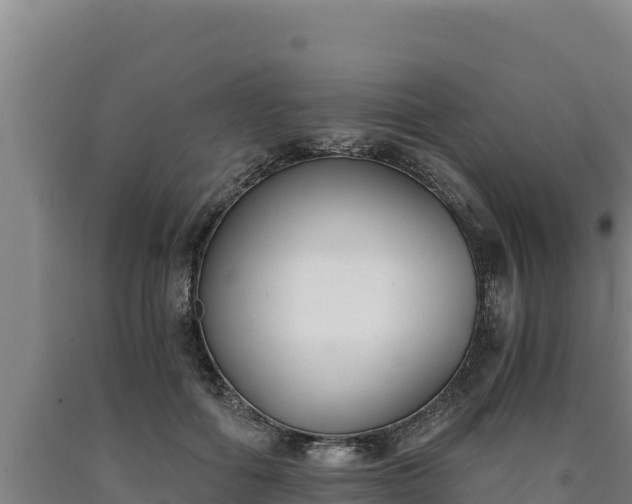 X0000090740602200707271425